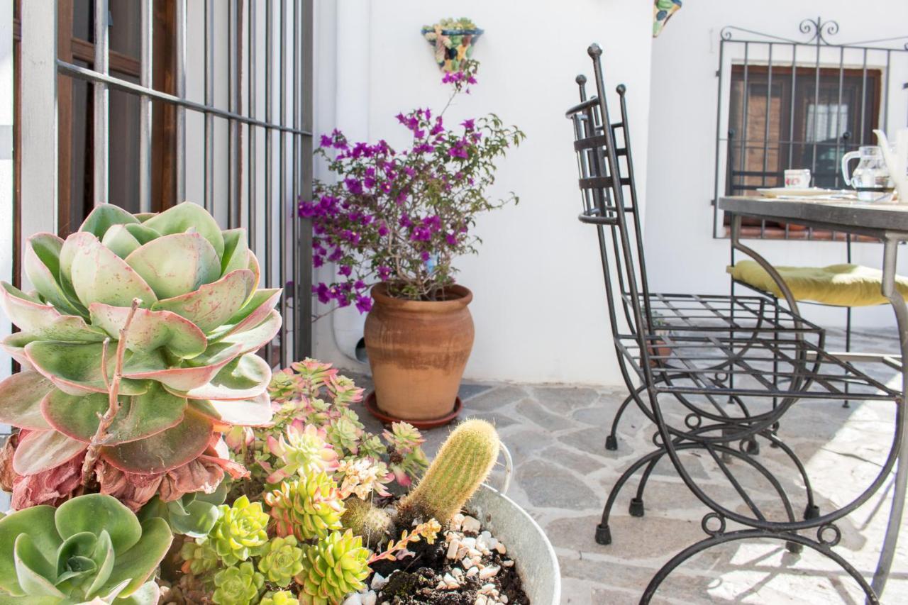 Villa Aurora Nijar Parque Natural Cabo Gata Εξωτερικό φωτογραφία