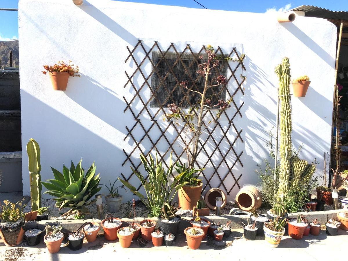 Villa Aurora Nijar Parque Natural Cabo Gata Εξωτερικό φωτογραφία