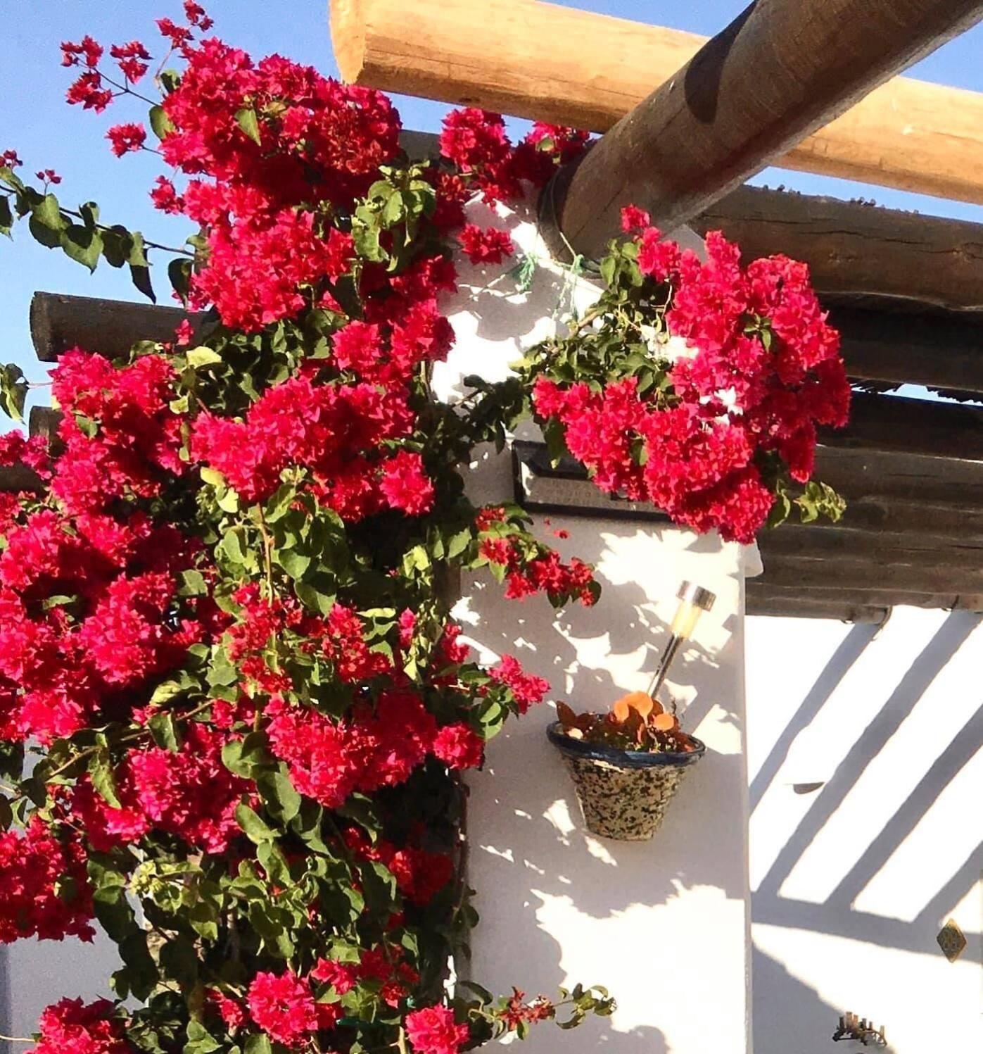 Villa Aurora Nijar Parque Natural Cabo Gata Εξωτερικό φωτογραφία
